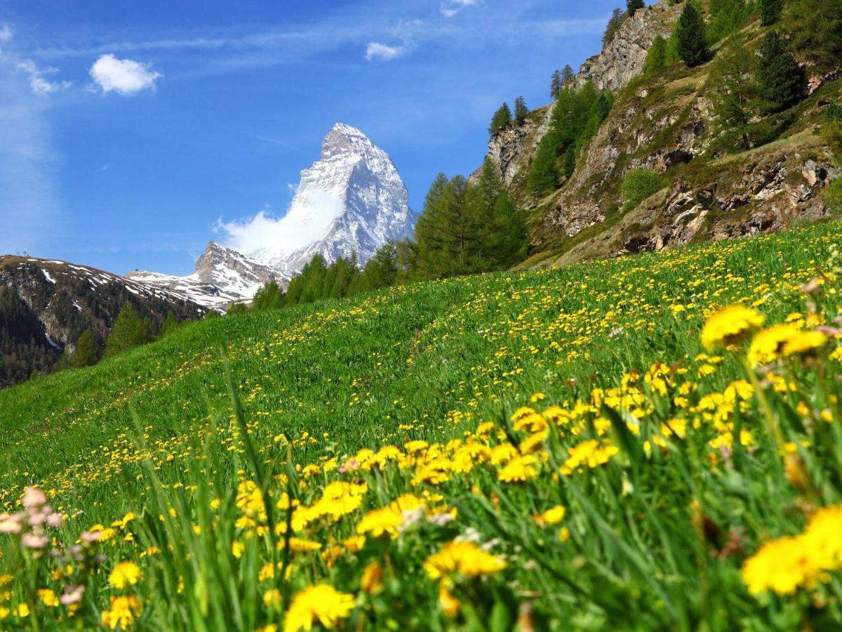 Apartment By Interhome Zermatt Exterior foto